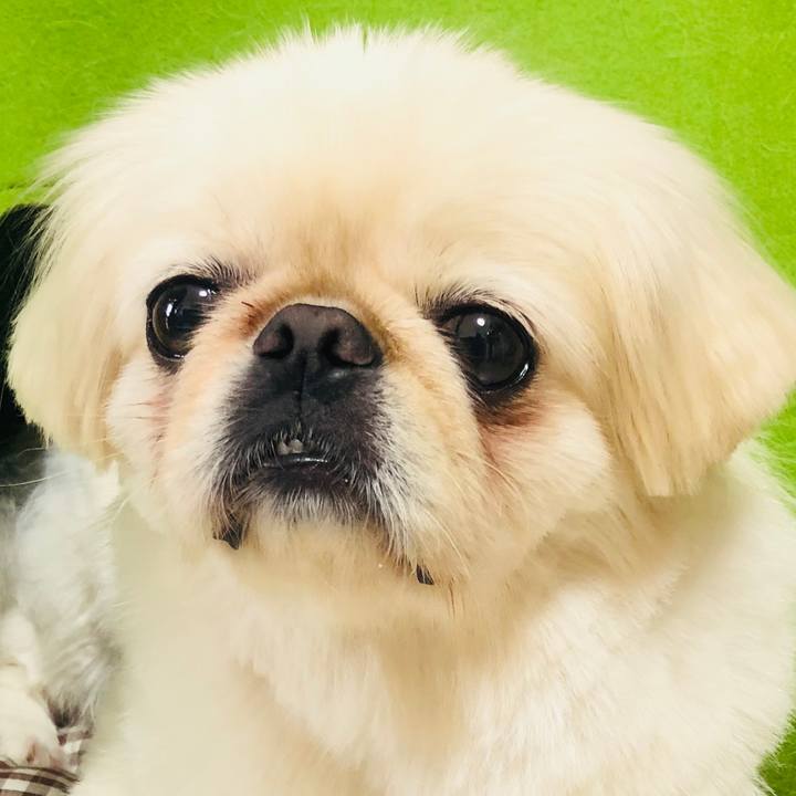 110af7ac 80fb 4f90 9e54 a35108b9c27f 1566310778630