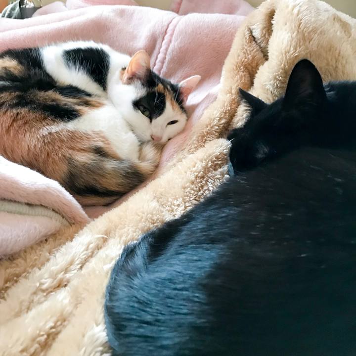 110afbf7 46cc 42c8 83d7 29826614a42f 1515162502218