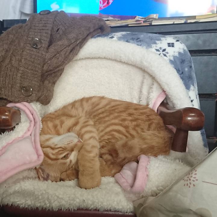 110b0625 dc8c 47dc 9253 0ae8ac2e8174 1645073543865