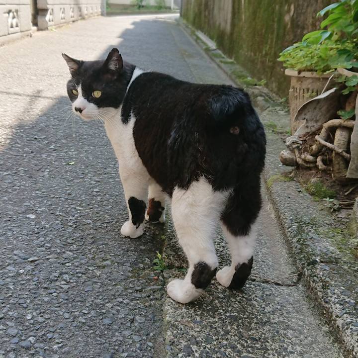 110b2b68 1daa 4f7c 80a6 0579626e7fcb 1527905861968