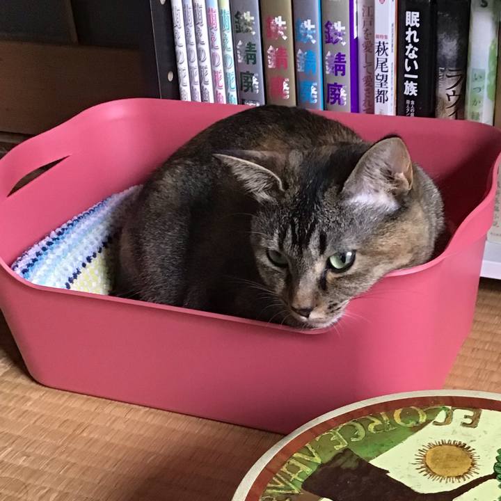 110b3891 3655 4e1b 982c 5c5a98db38ad 1628395913605