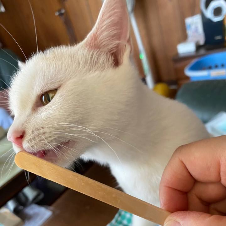 110b5582 dbad 45f3 a4ea 46b4c28c2502 1597102791577