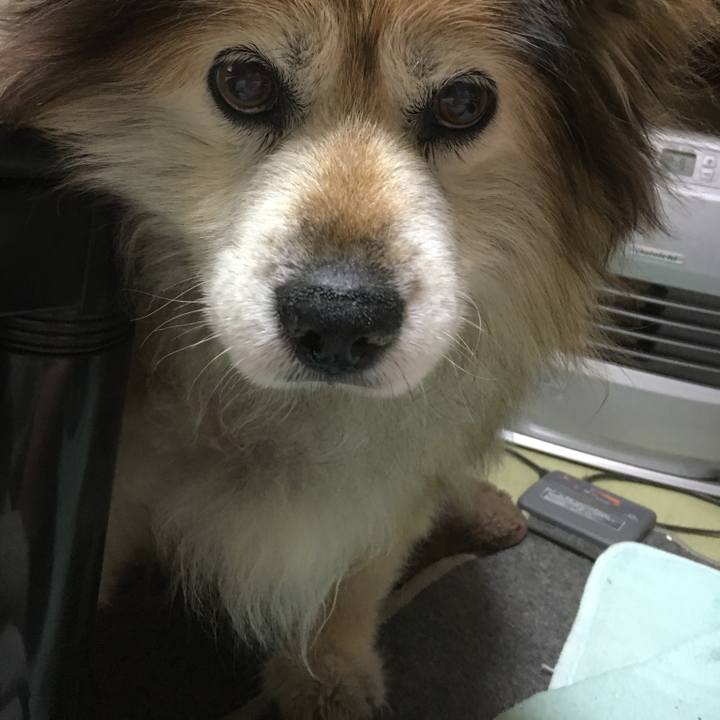 110bcb12 a95d 4815 a997 3d1dd4e96e07 1594868364311