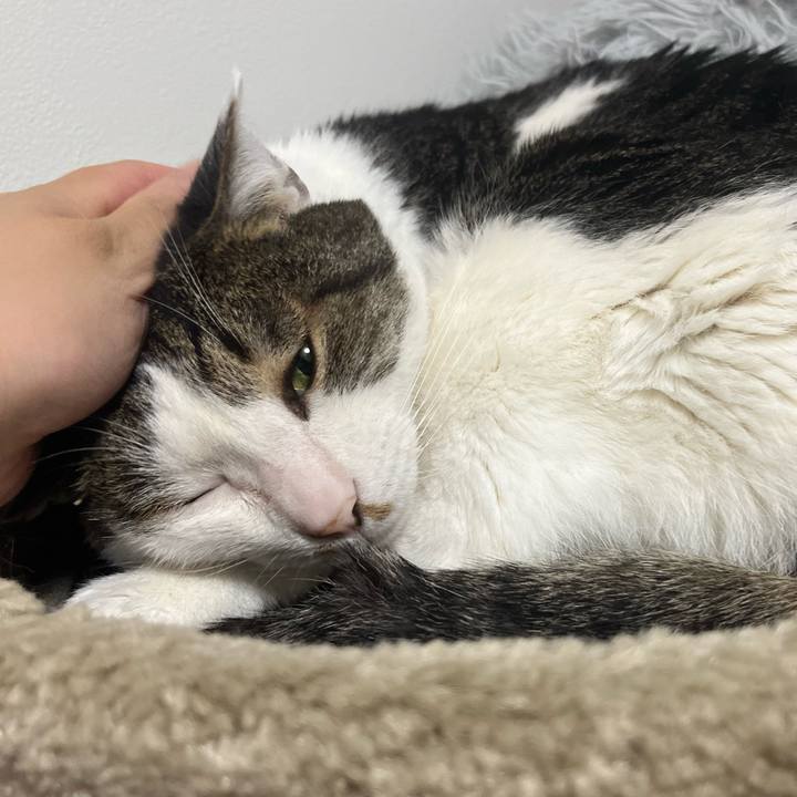 110bcc02 1278 41fa 8747 b4d8e71ea831 1776951417200