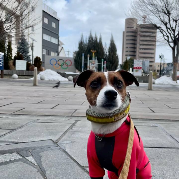 110c2282 908e 4e57 9265 f8b50e22f188 1643524299649