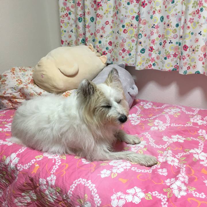 110c2311 01b1 4417 a0c8 6d990a621b7f 1535356703016