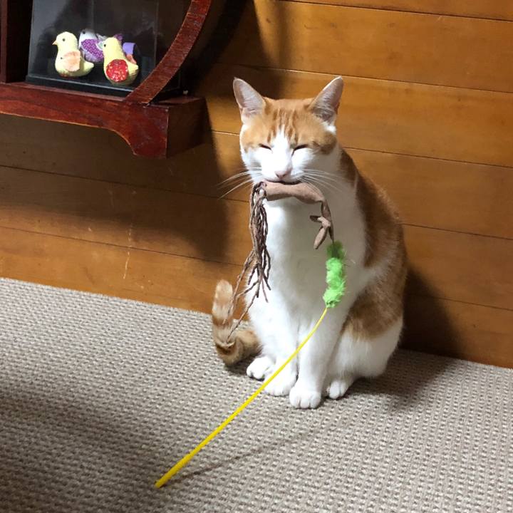 110c62c2 5357 4690 bb41 5831be0f668d 1539600396099