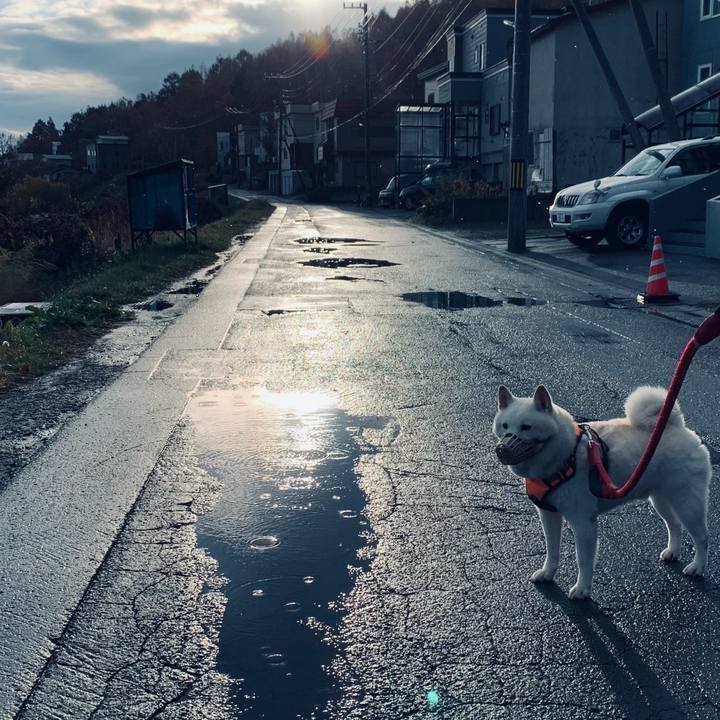 110c6dd4 80b8 498a 825e 16be80361f4d 1667084678999