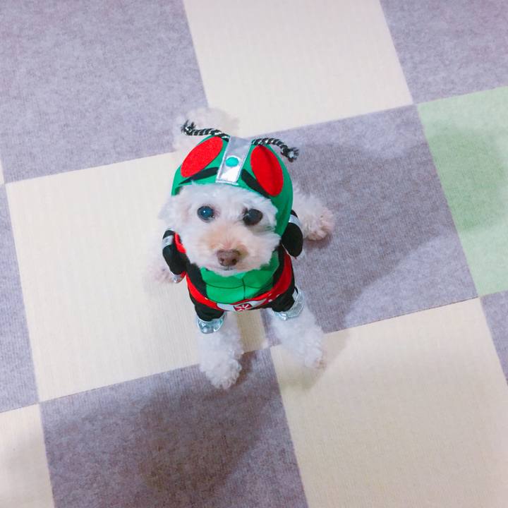 110cbab8 595a 44d9 b91d 23b55edf1160 1538091386239