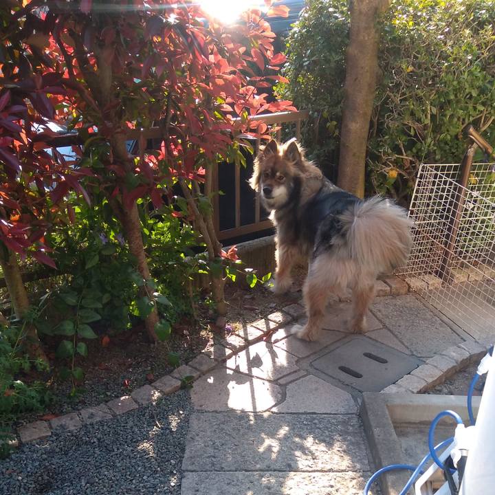 110cc970 dead 4e27 a3f9 e467711f8284 1588318451043