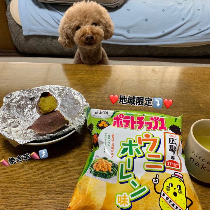 110ccf0d abae 4a94 b9d4 ba48aca9c33d 1549611257668