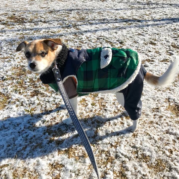 110cd6a8 0dda 4ee1 8ae4 2cbc4aa4b4d2 1548980438936