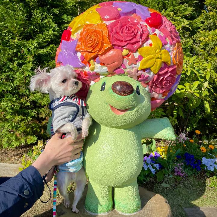 110cf975 a915 4690 9d30 cc630410a08a 1649316767302