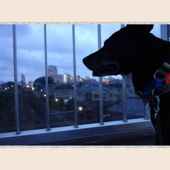 110d146b 4d25 4008 9d66 66b2f830c6c0 1720869358111