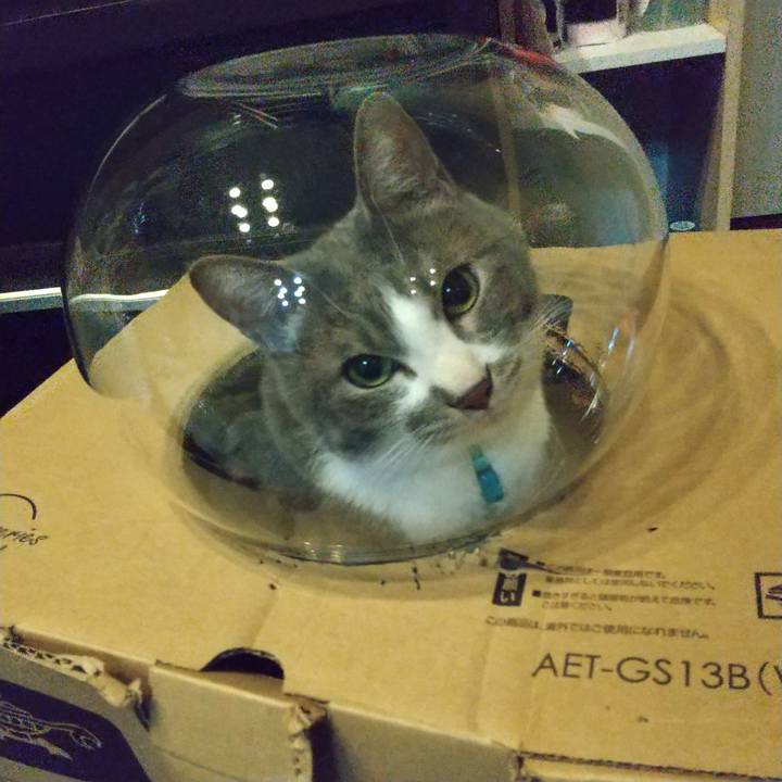 110d177c 1256 47ef bfbc 71b251774074 1647434781313