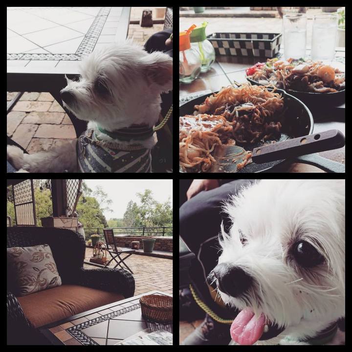 110d3985 f407 40a8 bad7 6b39e39aa921 1539500575127