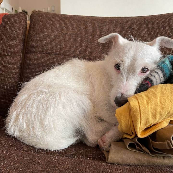 110d3a13 b4eb 4d2e aeaa 74dc9ed5f4aa 1767752125539