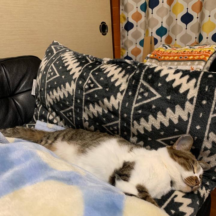 110d4882 9465 4b56 be8f caf3c236ab1b 1548167250037