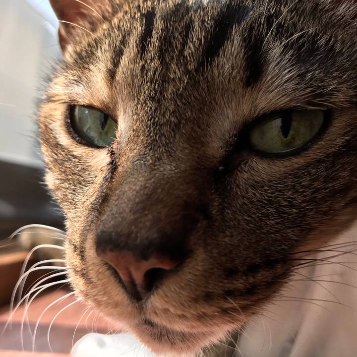 110dc1aa 90ea 4a0c a805 a6a534827500 1522458237100