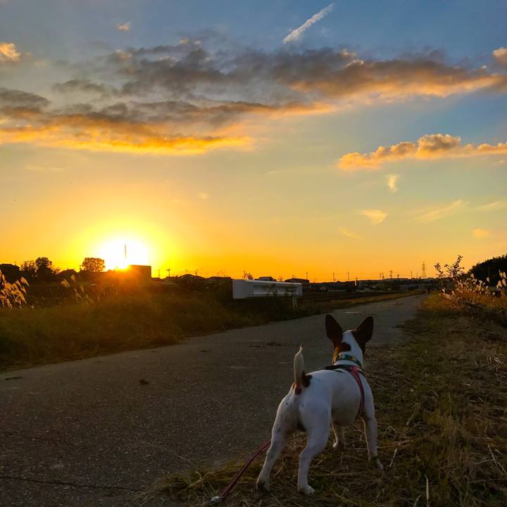 110dcda5 bc97 4f15 a1fe d9332b5d4d50 1510479951479