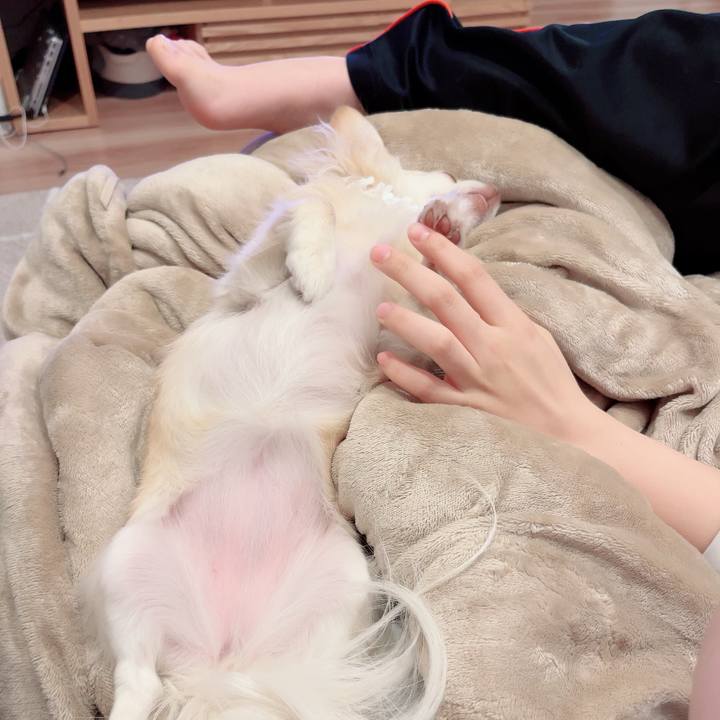 110df350 2ac4 49c4 84e4 5b9c0218264e 1711721398007