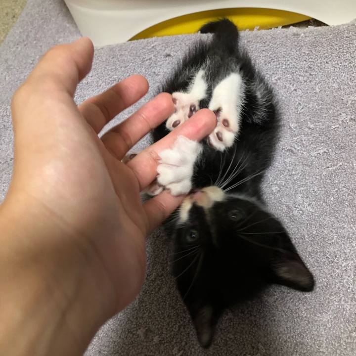 110df6ad ec08 4caa b7b4 7cd26600e15d 1537024385195