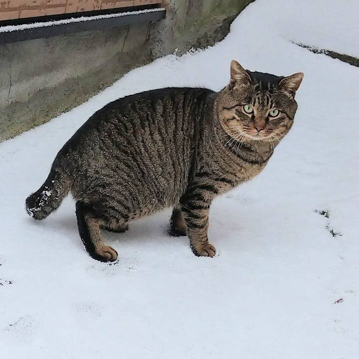 110e305f 01be 426f b4e8 d384b2ba35f4 1578822142770