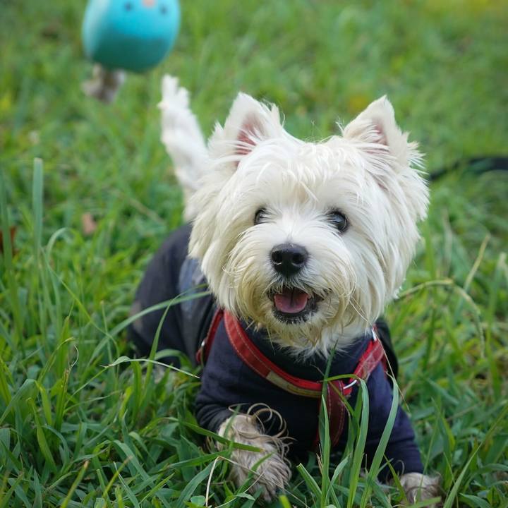 110e3951 e00a 43ab a2f0 77a91b57f5f8 1533554831266