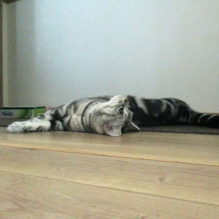 110e397b 8c93 4d70 bfd0 a2c82601e4a0 1556538304311