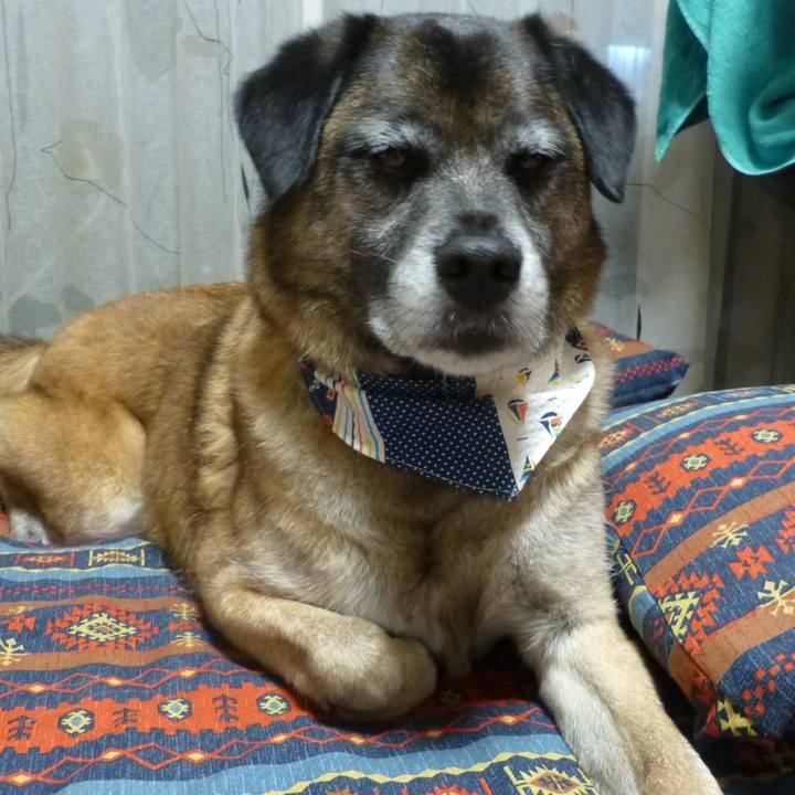 110e3fad 6285 44d6 9051 369e96dc6eda 1581298492794