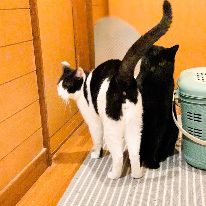 110e452f a79f 4fec 97ed e35dcd749fd9 1548044435910