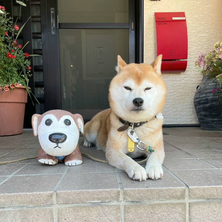 110e600d 218d 4878 836b 91d1397e7de6 1623203911073