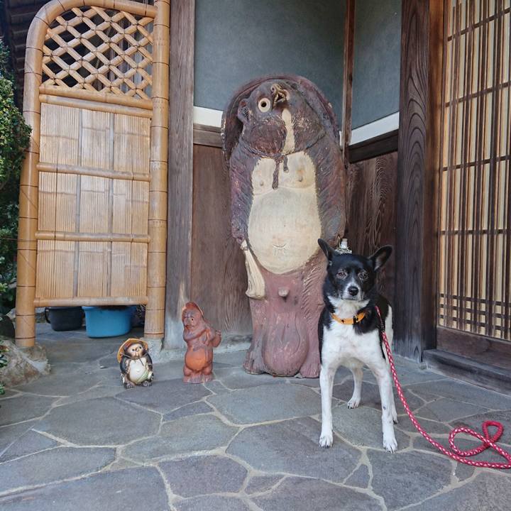 110e7fc3 027b 4474 afa3 22bb067e5cb2 1647006973375