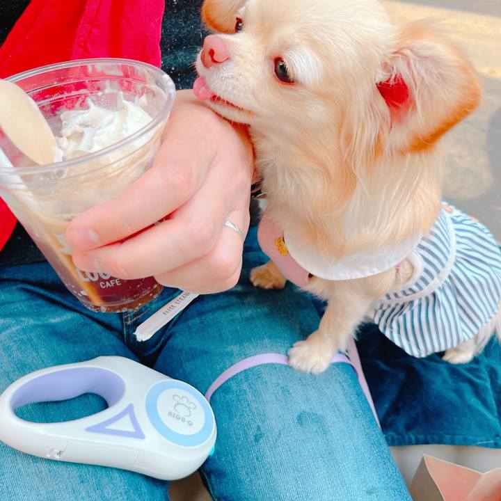 110e8474 ca77 413f 9582 ea148ba1e428 1649742343970