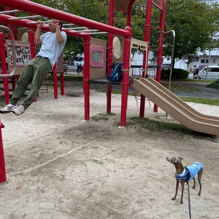 110e97f9 c67a 4406 bfcf cc734873600d 1758941449095