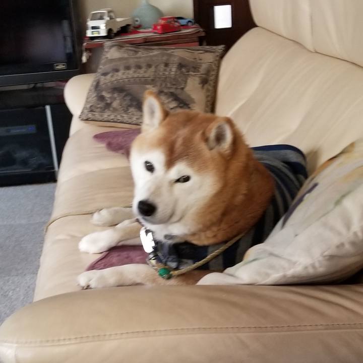 110ea663 62ed 444e ab3b de9ce9e148c0 1670199679653