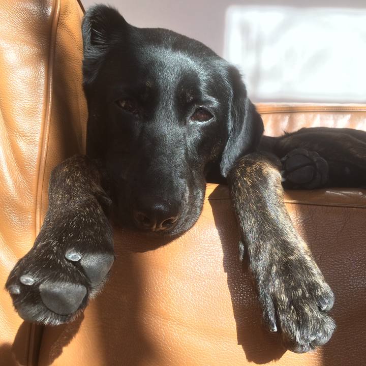 110eb29d 5ff0 4f74 8f5f b1c495396da8 1515890786951