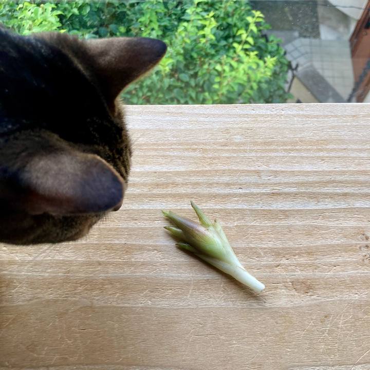 110eda8a ba22 4703 90d8 8c4b27883933 1722732251413