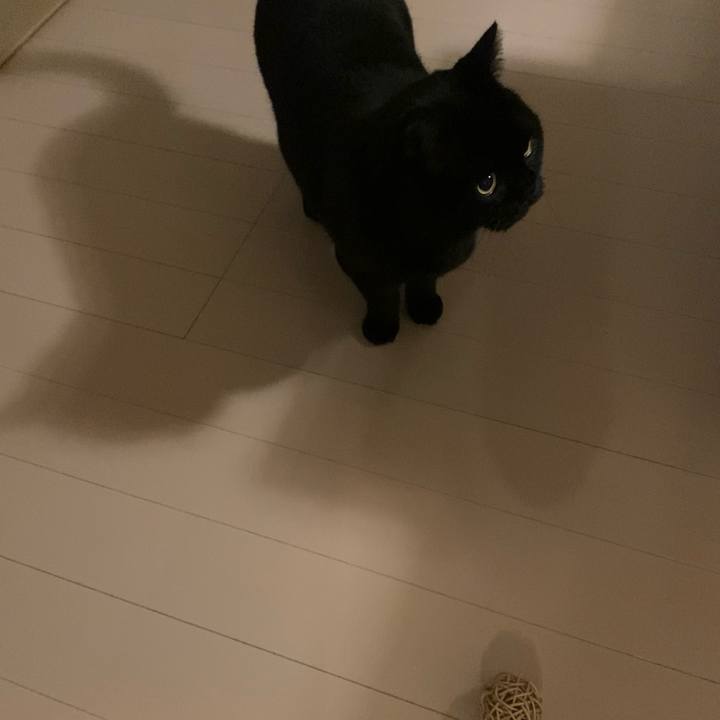 110f165f 6a5c 42c3 9417 42c91c3307e5 1768568630463