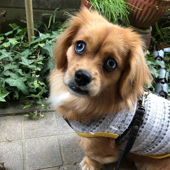 110f4835 c72e 4f51 94d1 ab76c088b9b1 1520375692045