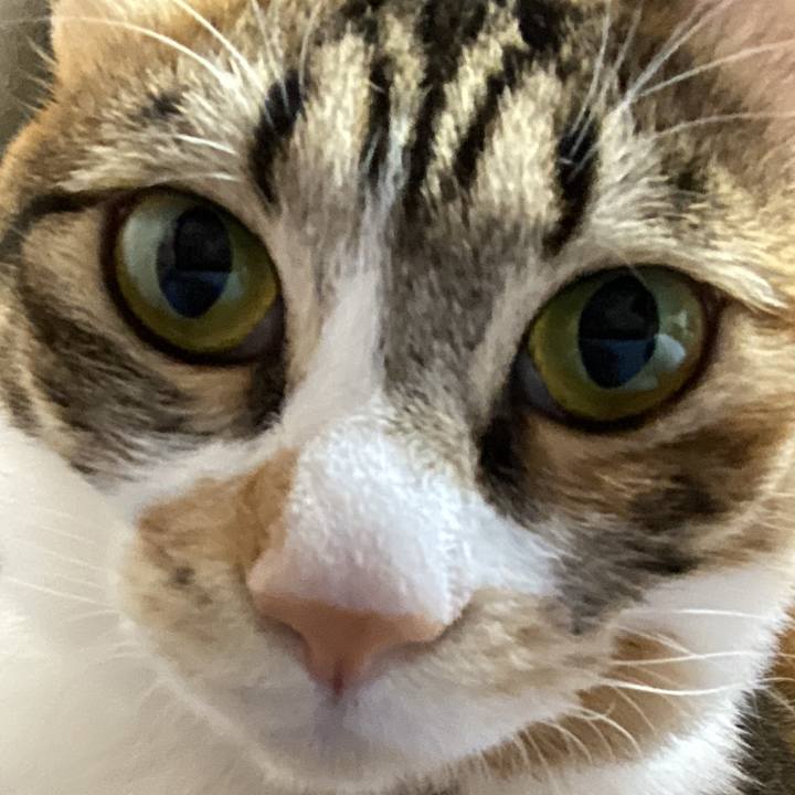 110f509d dde9 4d20 8858 3b37ad7607e2 1685758325790