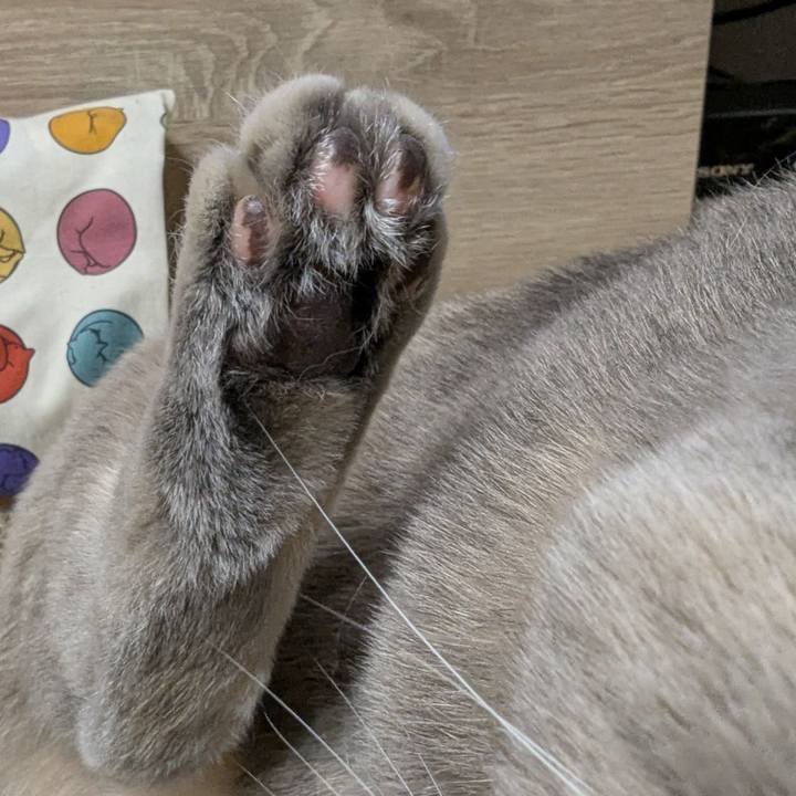 110f5a7c 806b 41ad 8cde 4b85073a1750 1738843696774