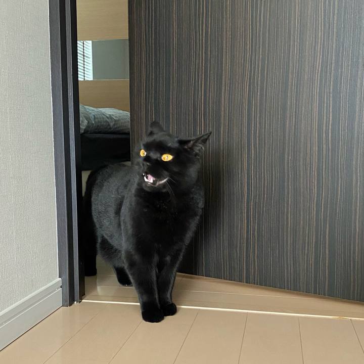 110fd54e 230a 45fb 965b 7d32efbab1f9 1609216967561