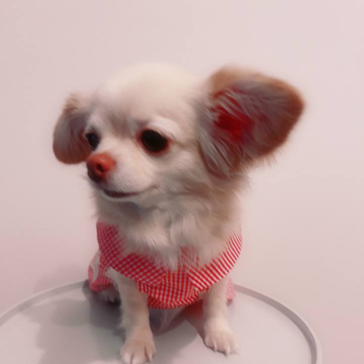 110fe4fb 39cc 4368 b0c3 bfe13f1451f6 1719058804971