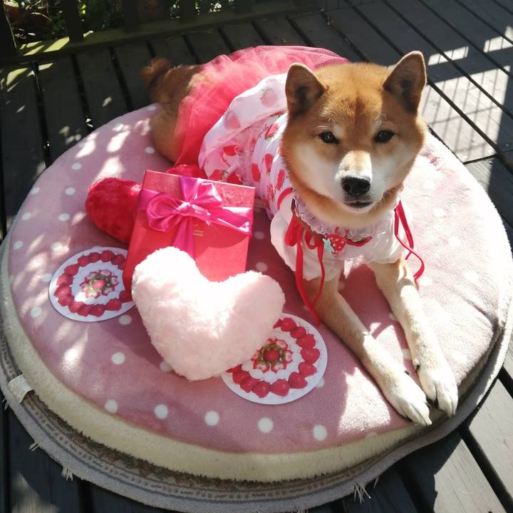 110ff10a d5e0 4f45 9953 56d545318e4a 1581640803149