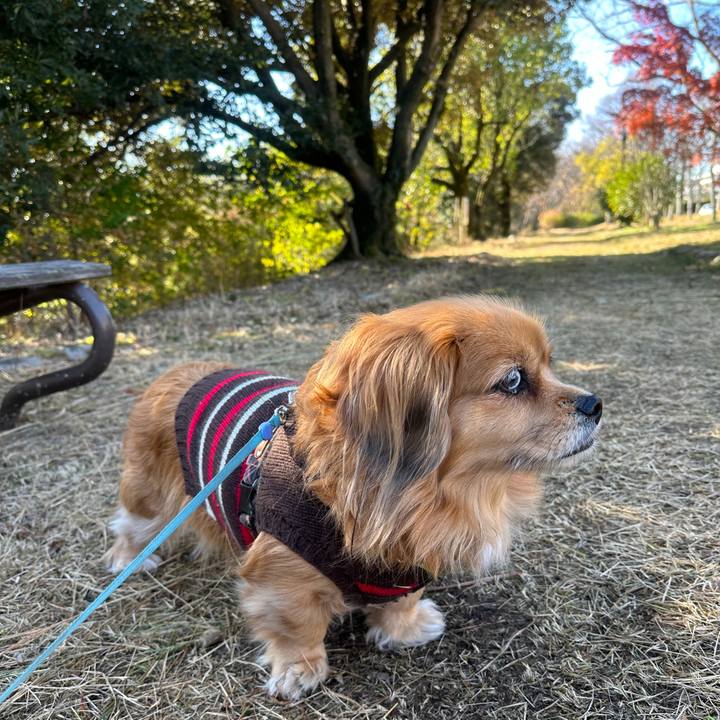 110ff438 1529 46ce 8e49 14d510876219 1702097665962