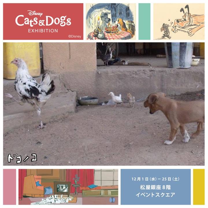 11100385 9b87 460f bee1 d20f13460426 1638436272453