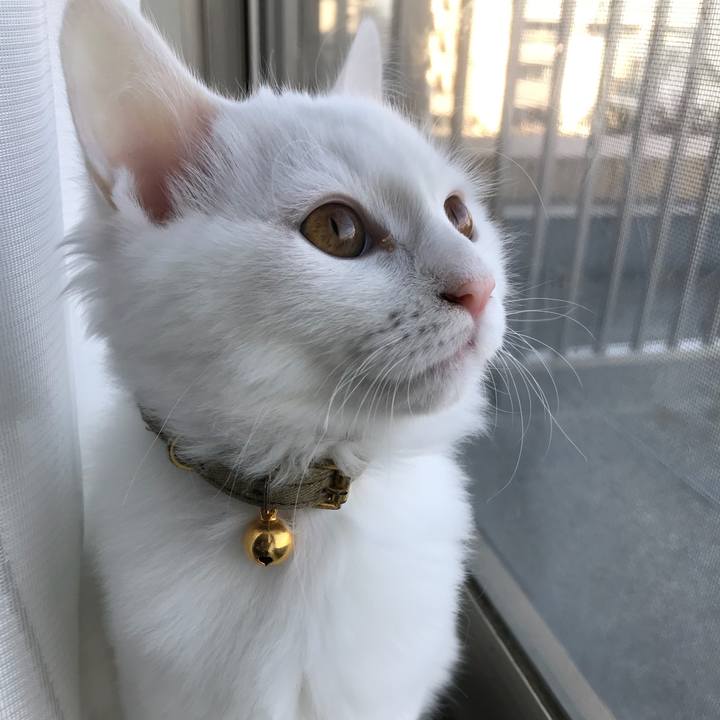 11102093 8ec7 42b2 bb13 d080ecf858e1 1509582710772