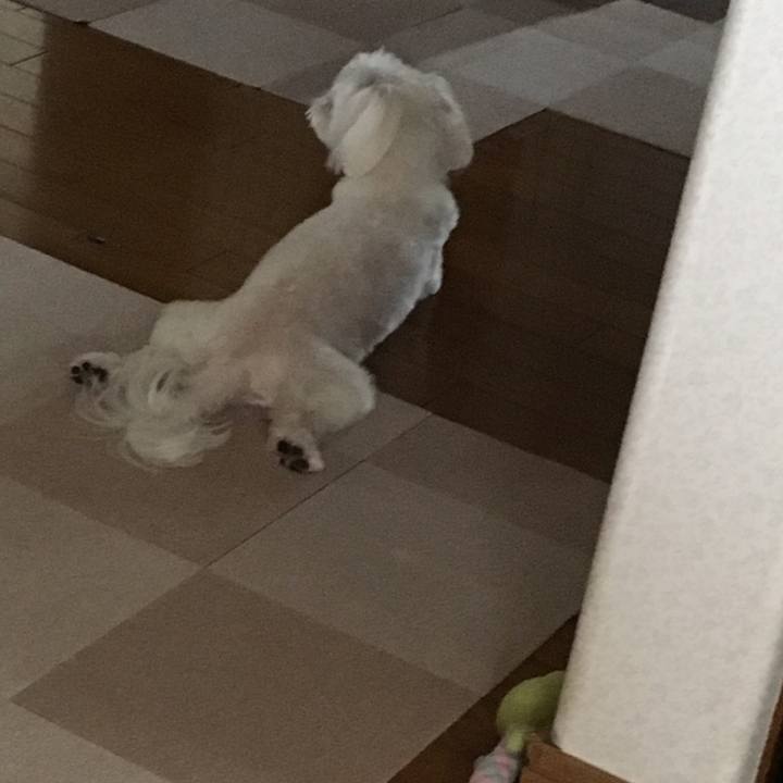 1110840a 9ad5 4164 924d 74b067682fd4 1537749803160