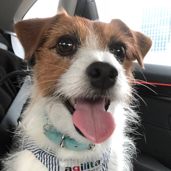 11108944 803e 4cae 94c9 ff65d6e24d98 1571484796366